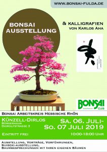Bonsai Ausstellung Dirlos