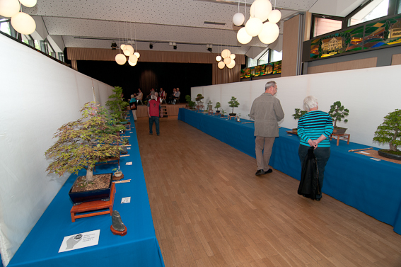Bonsaiausstellung Bad Salzschlirf 2012